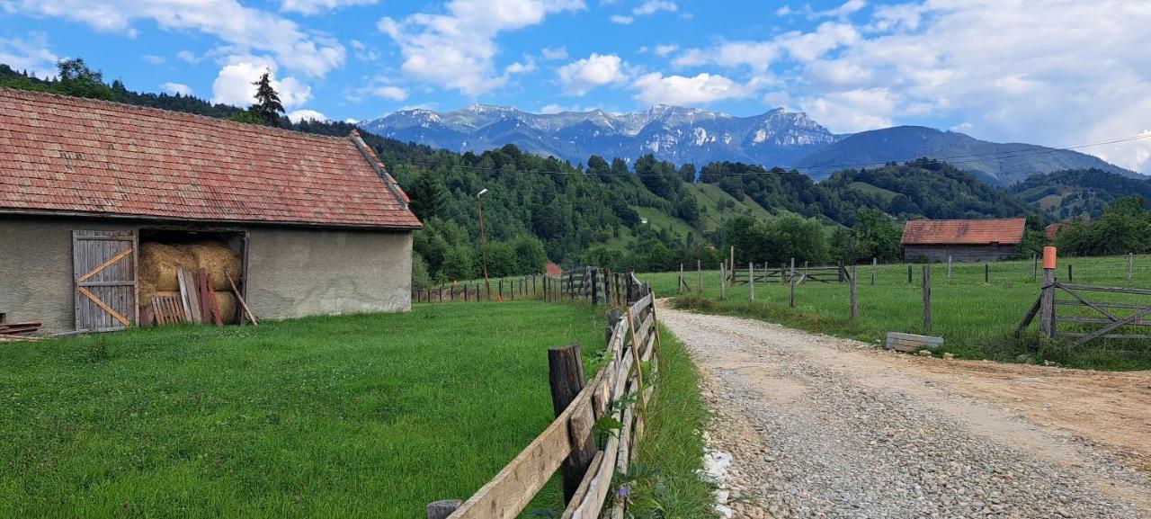 شقة Casa De Vacanta برانْ المظهر الخارجي الصورة